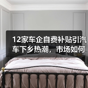12家车企自费补贴引汽车下乡热潮,市场如何响应?(图3) 12家车企自费补贴引汽车下乡热潮,市场如何响应?(图3)