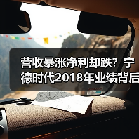 营收暴涨净利却跌？宁德时代2018年业绩背后的真相（图2）