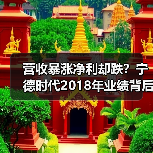 营收暴涨净利却跌？宁德时代2018年业绩背后的真相（图3）