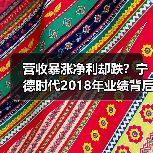 营收暴涨净利却跌？宁德时代2018年业绩背后的真相（图4）