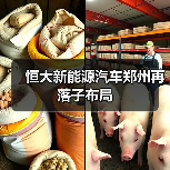 恒大新能源汽车郑州再落子布局（图1）