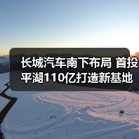 长城汽车南下布局 首投平湖110亿打造新基地（图3）