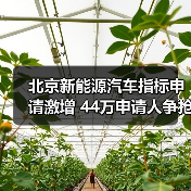 北京新能源汽车指标申请激增 44万申请人争抢(图4) 北京新能源汽车指标申请激增 44万申请人争抢(图4)