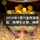 2019年1月汽车市场承压:乘用车走弱,商用车突围?(图3) 2019年1月汽车市场承压:乘用车走弱,商用车突围?(图3)