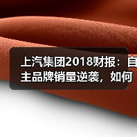 上汽集团2018财报:自主品牌销量逆袭,如何实现羽翼丰满?(图4) 上汽集团2018财报:自主品牌销量逆袭,如何实现羽翼丰满?(图4)