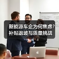 新能源车企为何焦虑？补贴退坡与质量挑战（图3）
