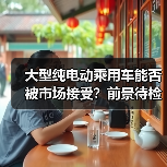 大型纯电动乘用车能否被市场接受?前景待检验(图4) 大型纯电动乘用车能否被市场接受?前景待检验(图4)