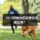 PET标牌如何颠覆各领域应用?(图2) PET标牌如何颠覆各领域应用?(图2)
