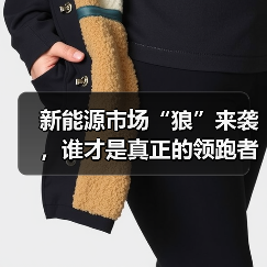 新能源市场“狼”来袭,谁才是真正的领跑者?(图3) 新能源市场“狼”来袭,谁才是真正的领跑者?(图3)