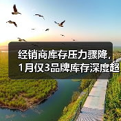 经销商库存压力骤降,1月仅3品牌库存深度超两月(图4) 经销商库存压力骤降,1月仅3品牌库存深度超两月(图4)