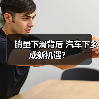 销量下滑背后 汽车下乡成新机遇？（图2）