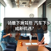 销量下滑背后 汽车下乡成新机遇？（图4）