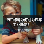 PET标牌为何成为汽车工业新宠?(图3) PET标牌为何成为汽车工业新宠?(图3)