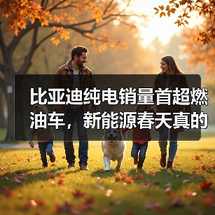 比亚迪纯电销量首超燃油车,新能源春天真的来了吗?(图4) 比亚迪纯电销量首超燃油车,新能源春天真的来了吗?(图4)