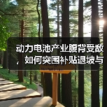 动力电池产业腹背受敌，如何突围补贴退坡与成本压力？（图1）