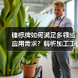 镍标牌如何满足多领域应用需求?解析加工工艺与检测标准(图3) 镍标牌如何满足多领域应用需求?解析加工工艺与检测标准(图3)