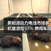 新能源动力电池市场装机量激增57% 乘用车成核心推动力(图1) 新能源动力电池市场装机量激增57% 乘用车成核心推动力(图1)