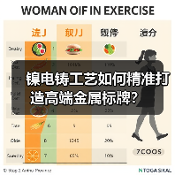 镍电铸工艺如何精准打造高端金属标牌?(图2) 镍电铸工艺如何精准打造高端金属标牌?(图2)