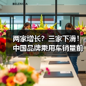 两家增长？三家下滑！中国品牌乘用车销量前五榜单解析（图4）