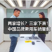 两家增长？三家下滑！中国品牌乘用车销量前五榜单解析（图3）