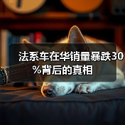 法系车在华销量暴跌30%背后的真相(图4) 法系车在华销量暴跌30%背后的真相(图4)