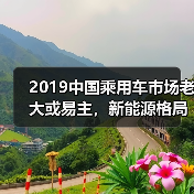 2019中国乘用车市场老大或易主，新能源格局重构（图4）