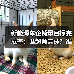 新能源车企销量目标完成率:谁超额完成?谁还在挣扎?(图3) 新能源车企销量目标完成率:谁超额完成?谁还在挣扎?(图3)