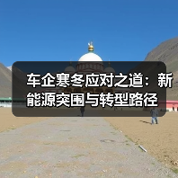 车企寒冬应对之道：新能源突围与转型路径（图4）