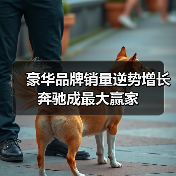 豪华品牌销量逆势增长 奔驰成最大赢家(图2) 豪华品牌销量逆势增长 奔驰成最大赢家(图2)