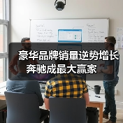 豪华品牌销量逆势增长 奔驰成最大赢家(图3) 豪华品牌销量逆势增长 奔驰成最大赢家(图3)