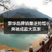 豪华品牌销量逆势增长 奔驰成最大赢家(图4) 豪华品牌销量逆势增长 奔驰成最大赢家(图4)