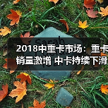 2018中重卡市场:重卡销量激增 中卡持续下滑(图2) 2018中重卡市场:重卡销量激增 中卡持续下滑(图2)