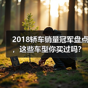 2018轿车销量冠军盘点,这些车型你买过吗?(图4) 2018轿车销量冠军盘点,这些车型你买过吗?(图4)