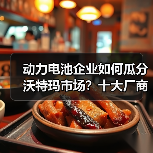 动力电池企业如何瓜分沃特玛市场?十大厂商格局大变(图2) 动力电池企业如何瓜分沃特玛市场?十大厂商格局大变(图2)