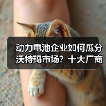 动力电池企业如何瓜分沃特玛市场?十大厂商格局大变(图4) 动力电池企业如何瓜分沃特玛市场?十大厂商格局大变(图4)