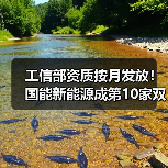 工信部资质按月发放!国能新能源成第10家双资质车企(图1) 工信部资质按月发放!国能新能源成第10家双资质车企(图1)