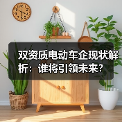 双资质电动车企现状解析:谁将引领未来?(图1) 双资质电动车企现状解析:谁将引领未来?(图1)