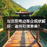 双资质电动车企现状解析:谁将引领未来?(图2) 双资质电动车企现状解析:谁将引领未来?(图2)