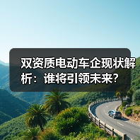 双资质电动车企现状解析:谁将引领未来?(图3) 双资质电动车企现状解析:谁将引领未来?(图3)