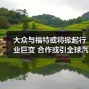 大众与福特或将掀起行业巨变 合作或引全球汽车格局重塑(图1) 大众与福特或将掀起行业巨变 合作或引全球汽车格局重塑(图1)