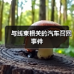 与线束相关的汽车召回事件(图1) 与线束相关的汽车召回事件(图1)