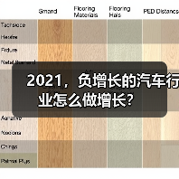 2021,负增长的汽车行业怎么做增长?(图1) 2021,负增长的汽车行业怎么做增长?(图1)
