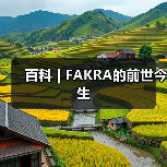百科 | FAKRA的前世今生(图3) 百科 | FAKRA的前世今生(图3)