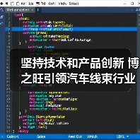 坚持技术和产品创新 博之旺引领汽车线束行业(图2) 坚持技术和产品创新 博之旺引领汽车线束行业(图2)