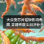 大众受芯片短缺影响有限 零部件巨头加速补齐产能缺口（图1）