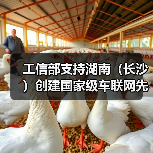 工信部支持湖南(长沙)创建国家级车联网先导区(图1) 工信部支持湖南(长沙)创建国家级车联网先导区(图1)