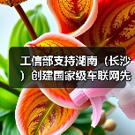 工信部支持湖南(长沙)创建国家级车联网先导区(图2) 工信部支持湖南(长沙)创建国家级车联网先导区(图2)