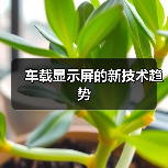 车载显示屏的新技术趋势(图4) 车载显示屏的新技术趋势(图4)