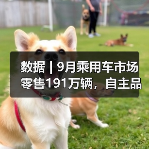 数据 | 9月乘用车市场零售191万辆,自主品牌零售同比增长约1%(图1) 数据 | 9月乘用车市场零售191万辆,自主品牌零售同比增长约1%(图1)