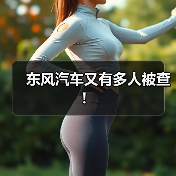 东风汽车又有多人被查!(图2) 东风汽车又有多人被查!(图2)